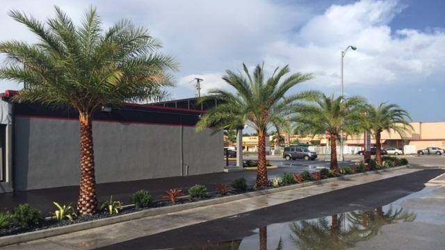 Commercial landscaping