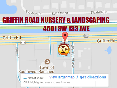 google map get directions