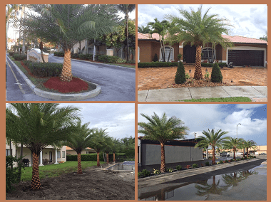 landscaping services